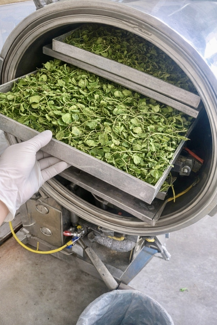 Nguồn gốc Đông Đô